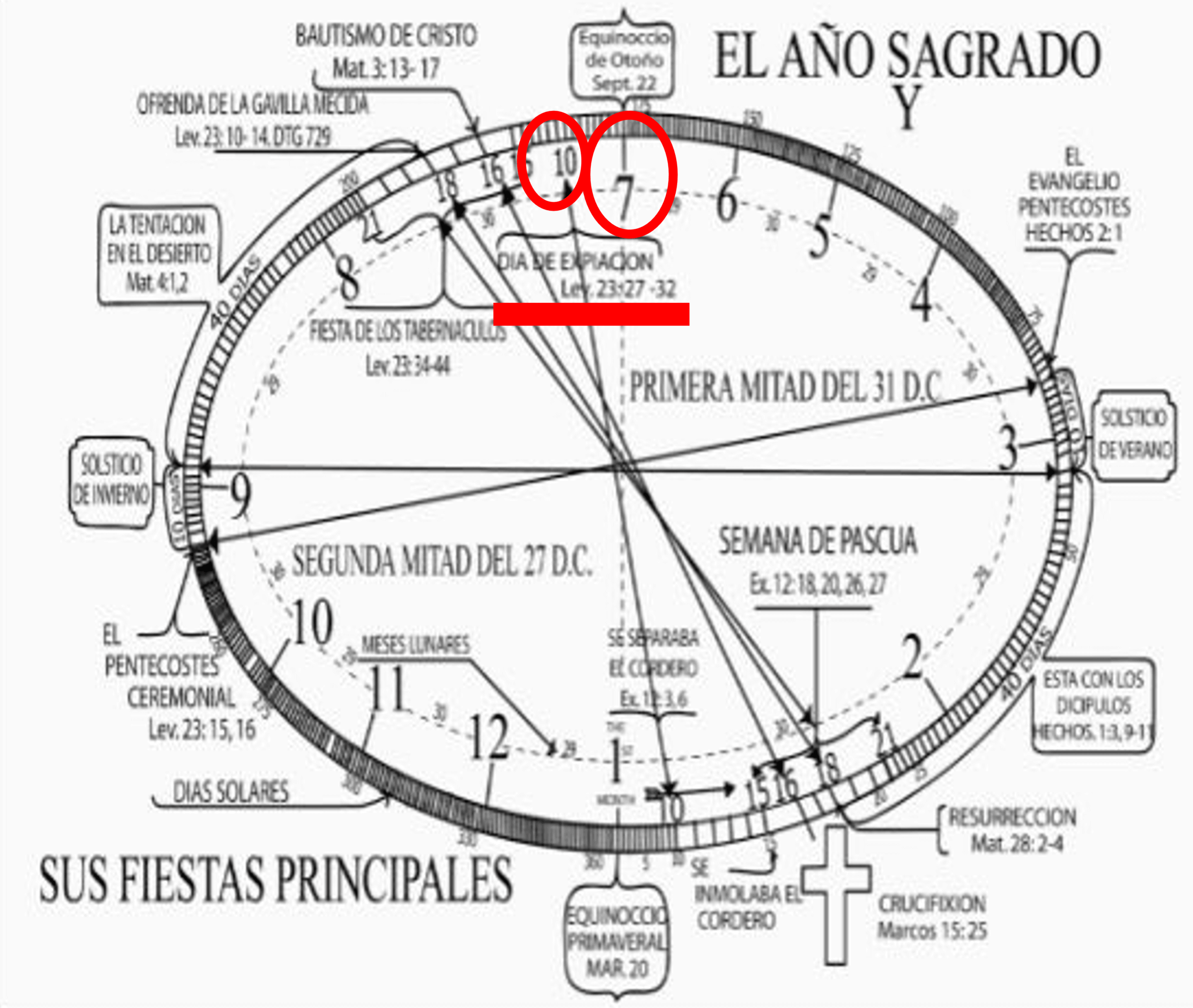 Chart Of Sacred Year Calendar. Volume 2021 The Symbolic Code Nos. 4-5-6