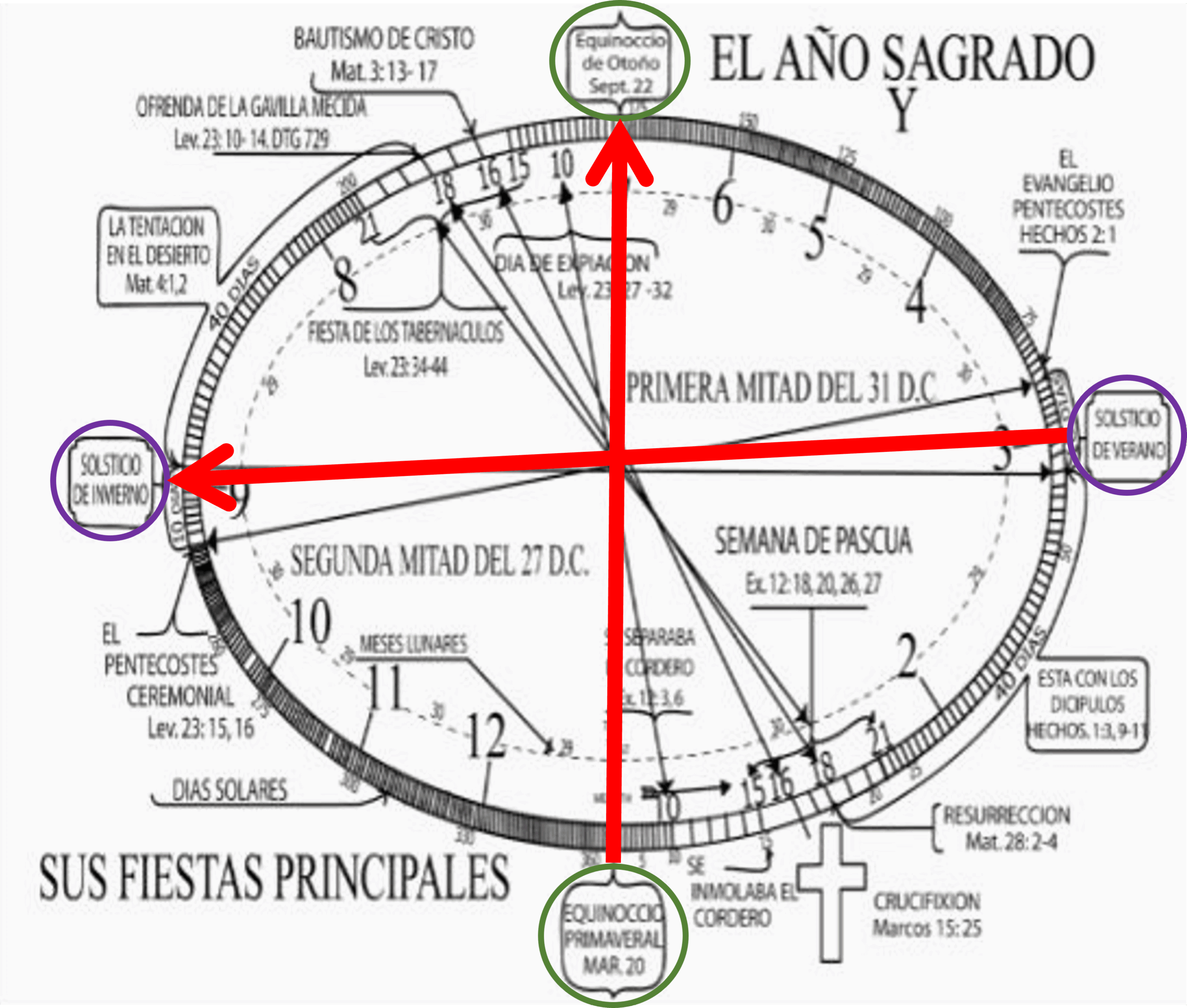 Chart Of Sacred Year Calendar. Volume 2021 The Symbolic Code Nos. 4-5-6